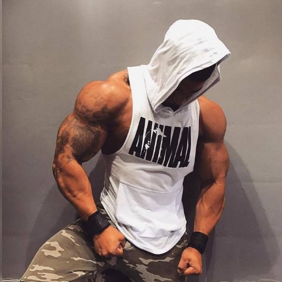 gym t shirts for men